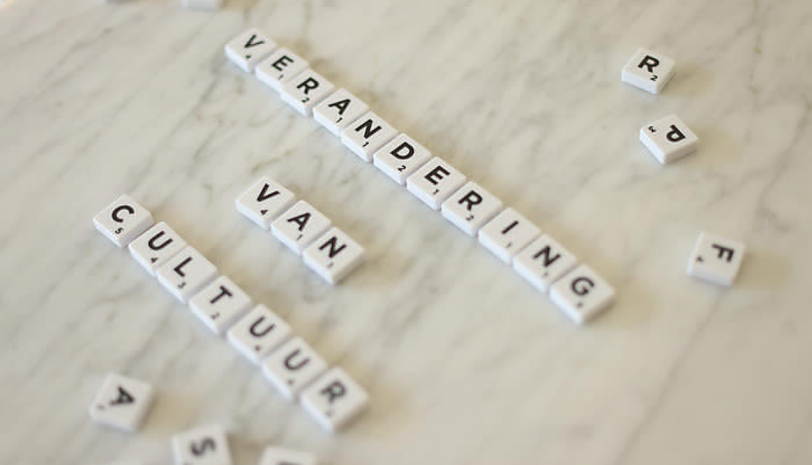 verandering cultuur